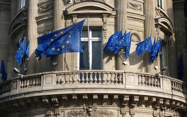 vlajky EÚ.jpg