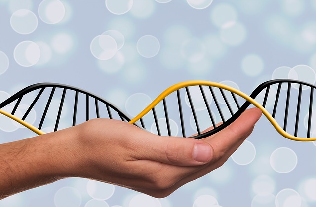 deoxyribonukleová kyselina.jpg