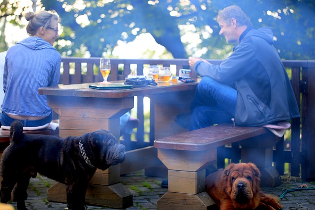 Muž a žena sedia na terase pri stole s dvoma psami.jpg