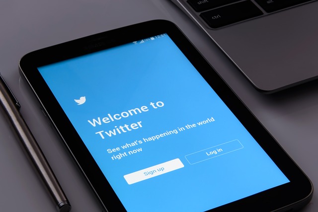 Sociálna sieť Twitter.jpg